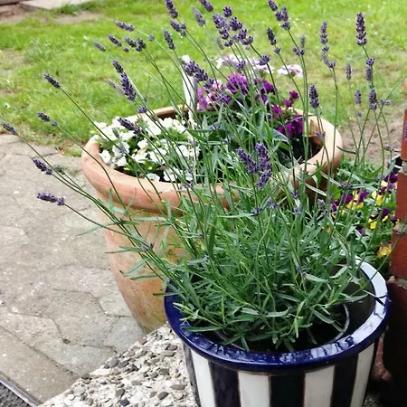 Dom wakacyjny Reiterhof Winandy *